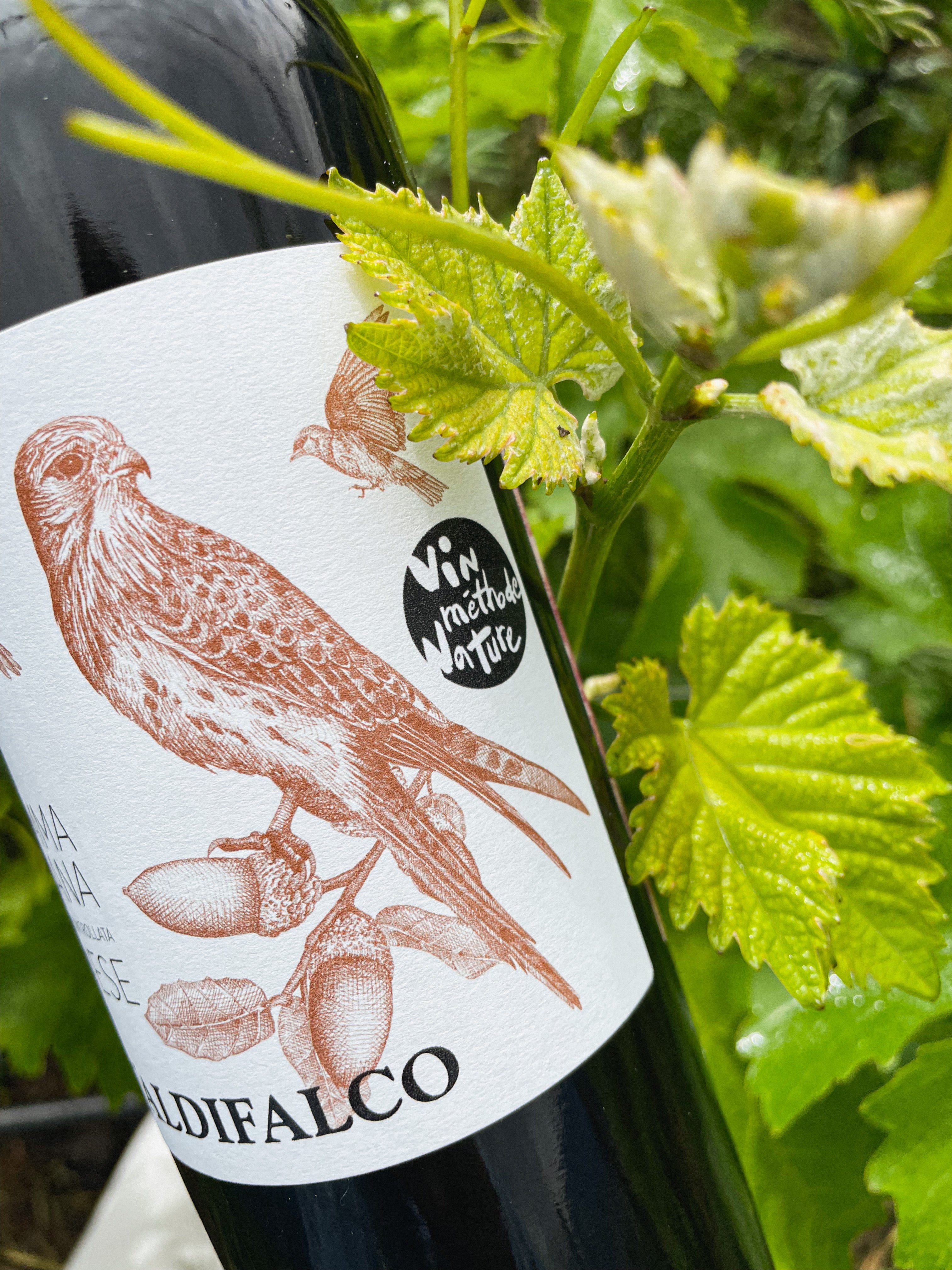 Sangiovese Maremma "Vin Méthode Nature" 2022