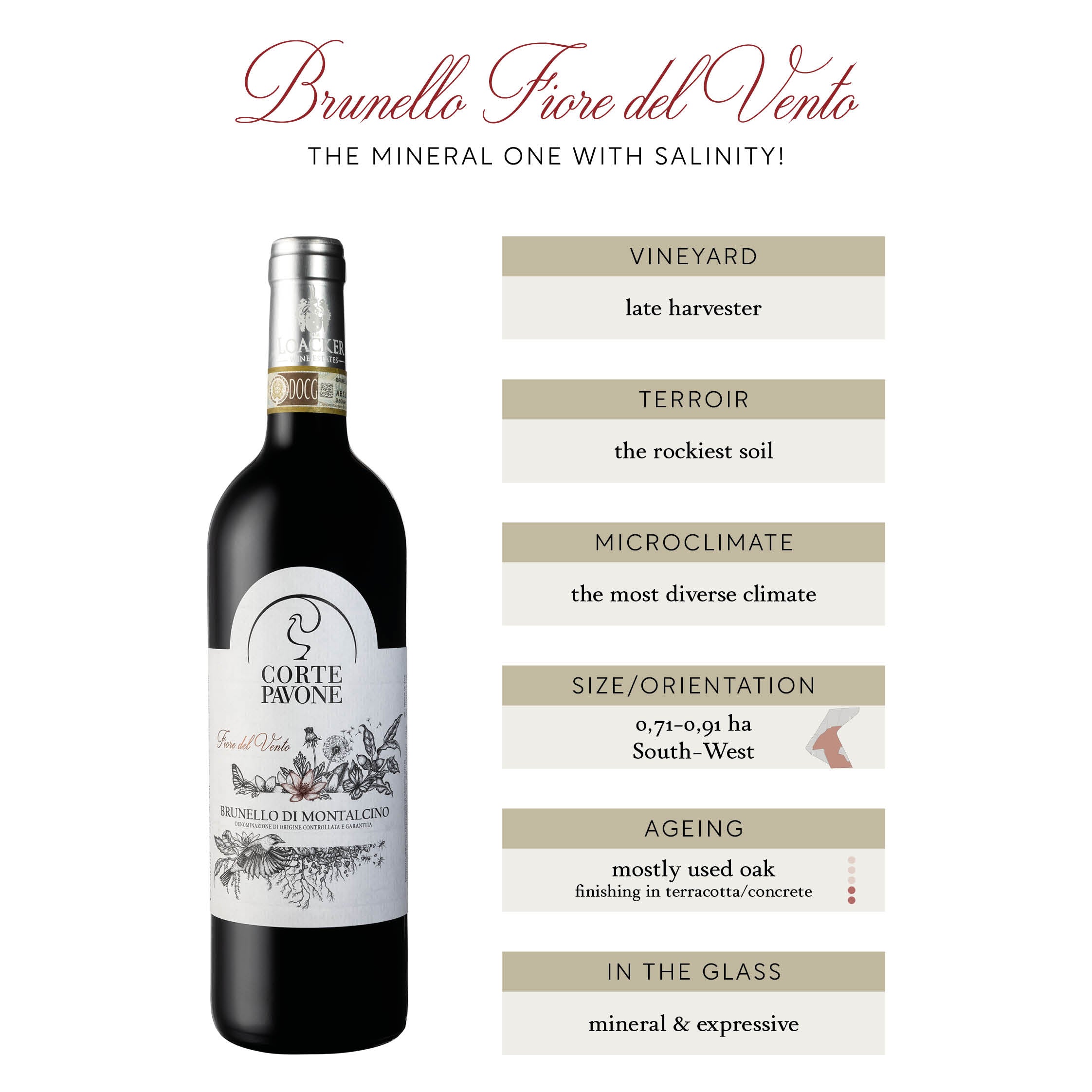 Brunello di Montalcino FIORE DEL VENTO 2018 MAGNUM (1,5l.) - mit Holzkiste