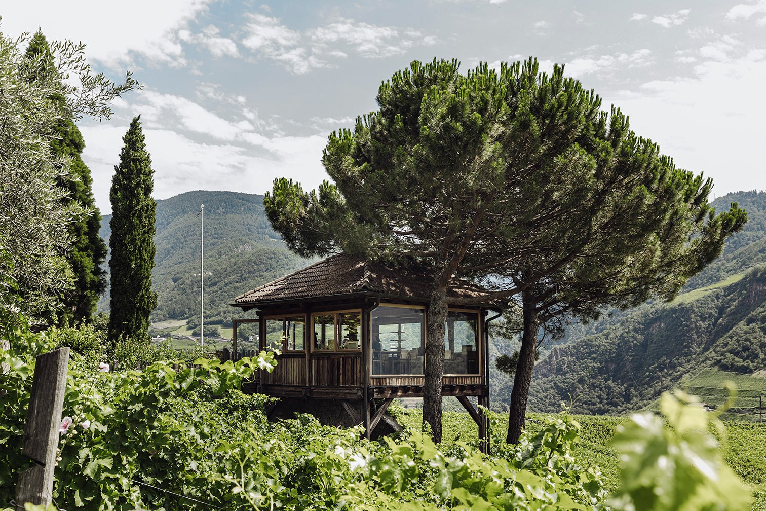 Loacker Weingut Merlot alto adige