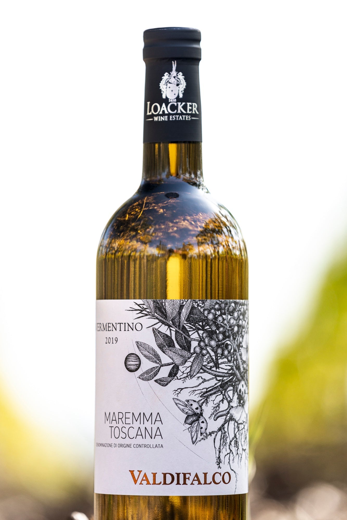 biodynamischer vermentino maremma toscana italien