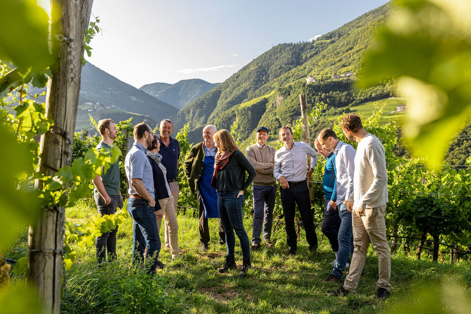 freunde des weines südtirol alto adige