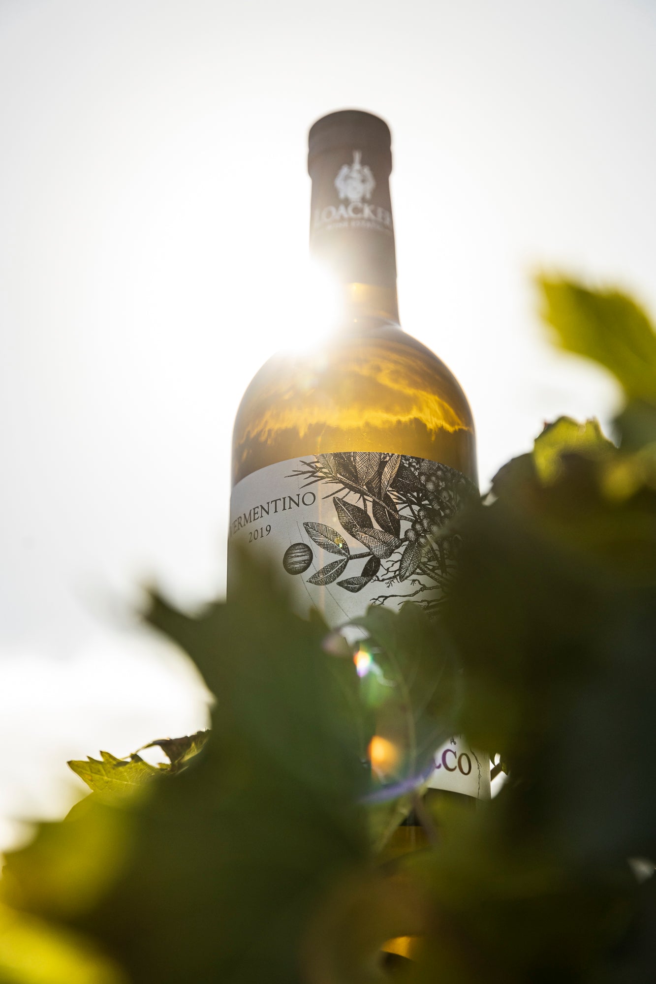 valdifalco vermentino biologisch sommerwein loacker