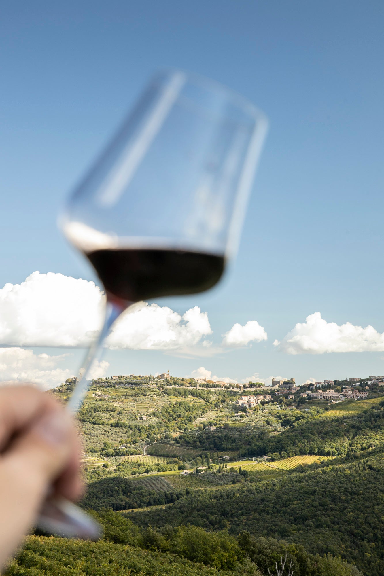 Brunello Weinberge Toskana