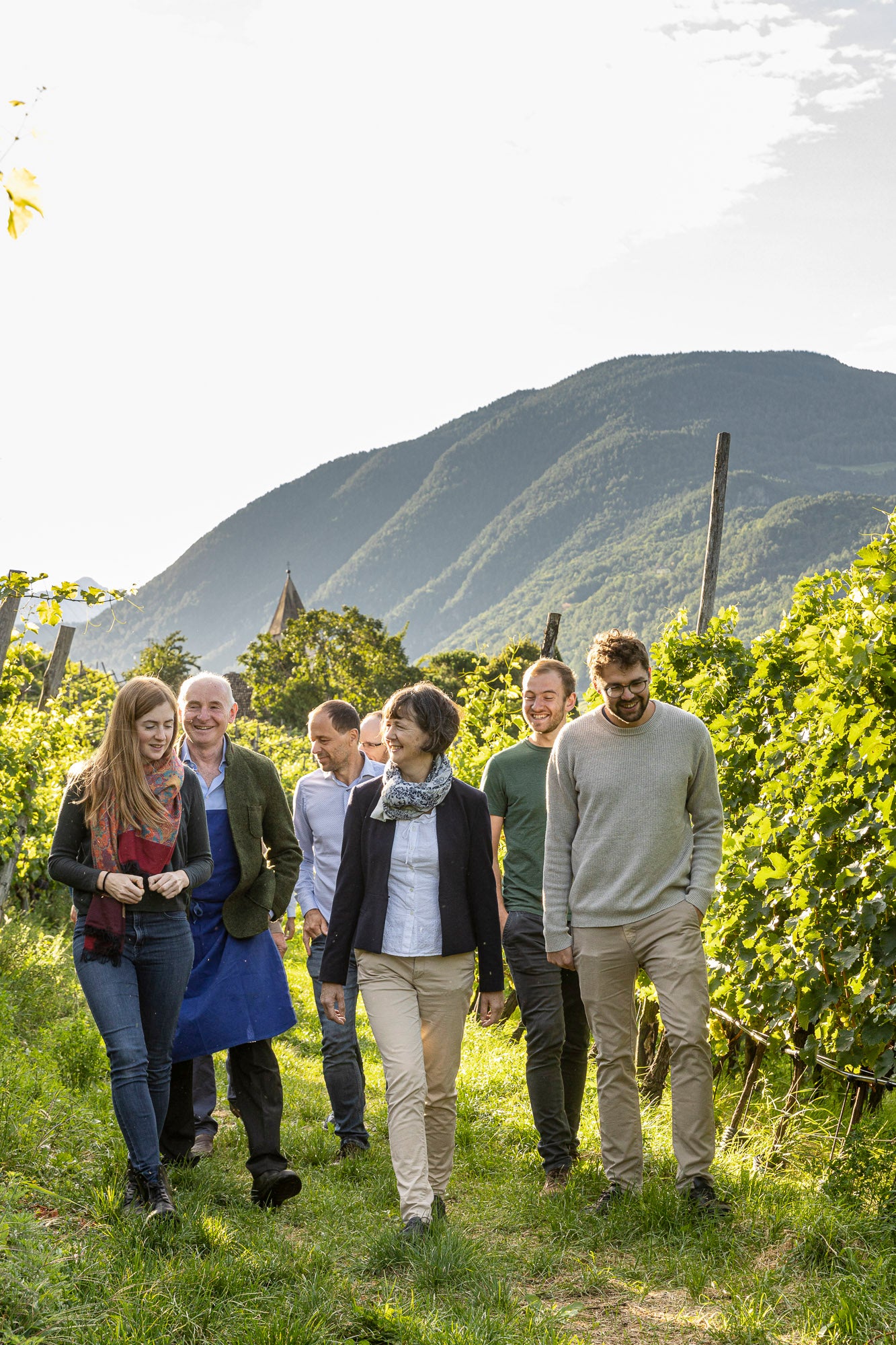 tirolensis ars vini weine südtirol online