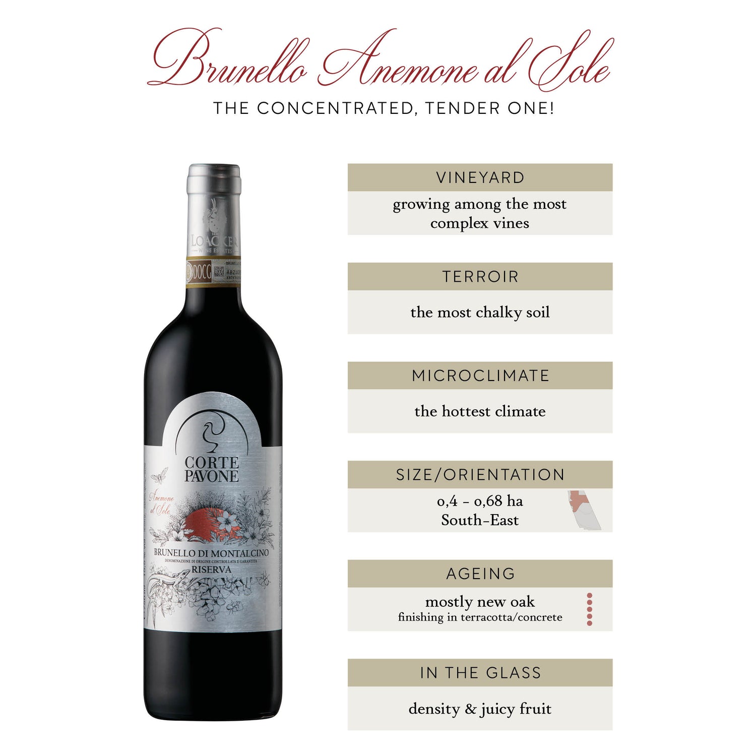 Brunello di Montalcino ANEMONE AL SOLE 2016 Riserva