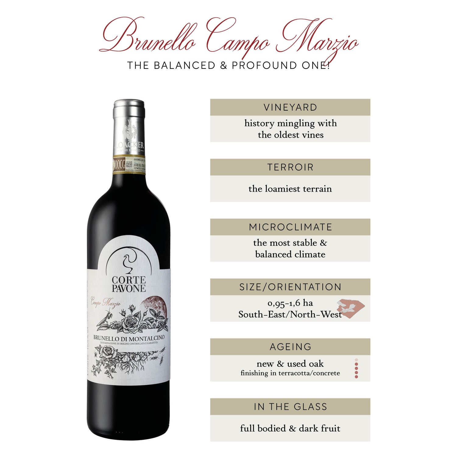 Brunello di Montalcino CAMPO MARZIO 2016 MAGNUM (1,5l.)