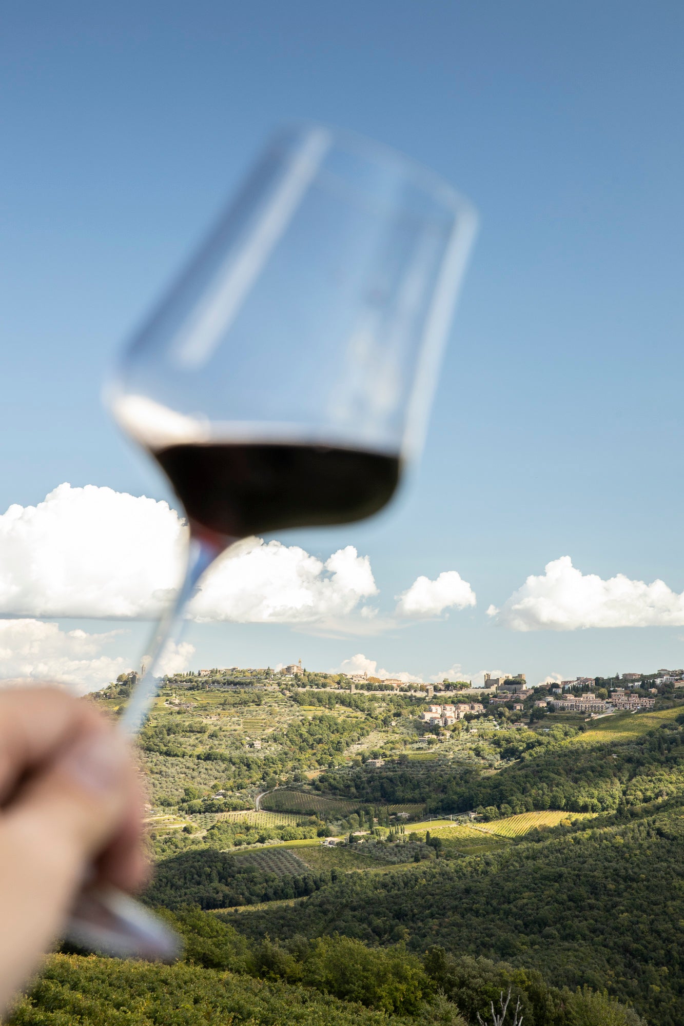 Brunello vineyards tuscany